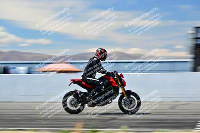 media/Mar-25-2024-Moto Forza (Mon) [[8d4319bd68]]/4-Novice Group/Session 4 Front Straight Speed Pans/